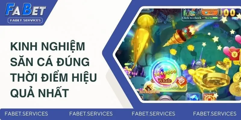 Bắn Cá Thần Tài - Game Săn Thưởng Mới Nhất Thị Trường 2025 3 Kinh nghiệm săn cá đúng thời điểm hiệu quả nhất